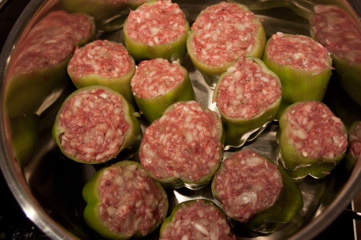 20150929-Paprika-IMG_4674