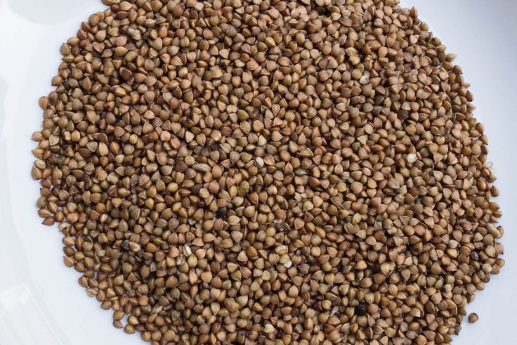 20151108-unbenannt-P1050228