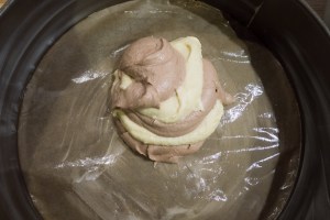 20160116-Zebra-P1050673