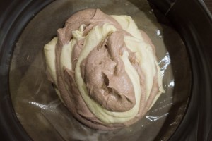 20160116-Zebra-P1050676