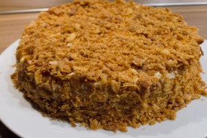 20160416-Tort Napoleon-P1050968