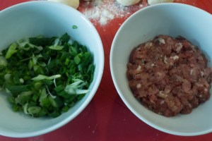 20160501-Hu Jiao Bing-P1060074