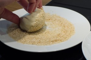 20160501-Hu Jiao Bing-P1060102