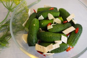 20160625-Gurken Malosol-P1060267