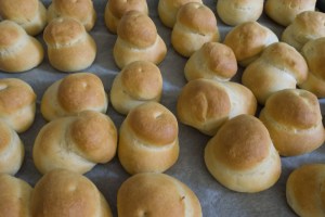 20160826-Tweiback-P1060420