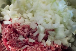 20160918-manty-p1060533