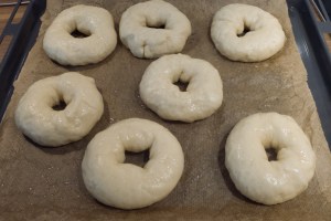 20161009-bagels-p1060581