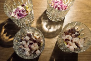 20170122-hering-unterm-pelzmantel-p1060755